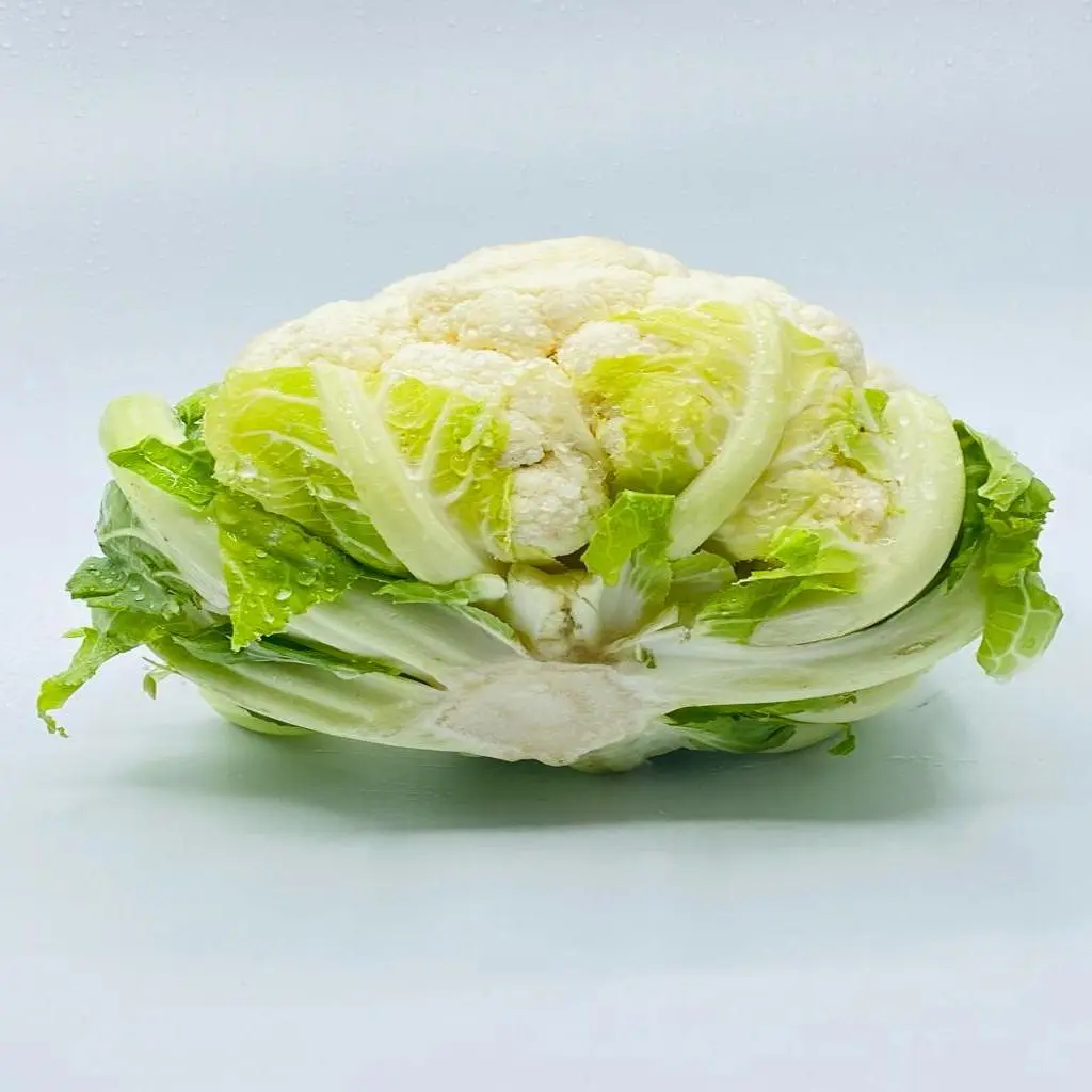 Cauliflower Flower